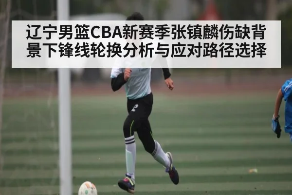 辽宁男篮CBA新赛季张镇麟伤缺背景下锋线轮换分析与应对路径选择